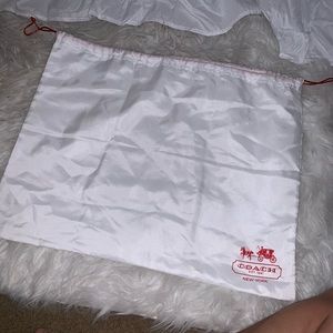 Coach dust bag